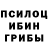 ЭКСТАЗИ круглые Hvoen Pallasa