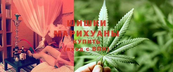 молекула духа Алексин