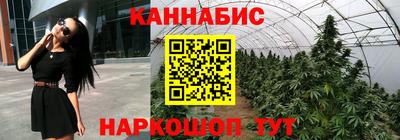 хмурый Апшеронск