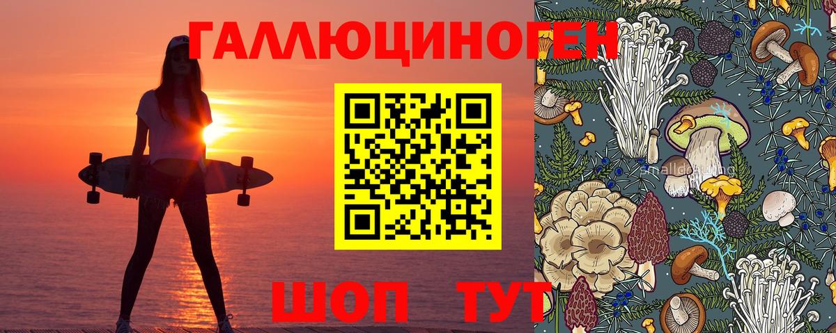 Галлюциногенные грибы Psilocybe  Вход с VPN  Псилоцибиновые грибы мухоморы  Выкса 