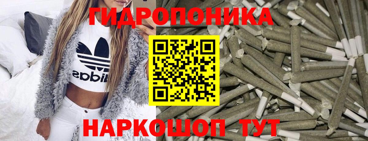 Конопля план  Шишки марихуана планчик  Вход с VPN  Выкса 
